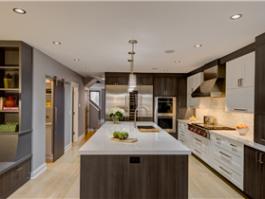 The Best And Cheapest Glazing Kitchen Cabinets PR-CLC67