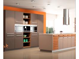 Fashion Shaker Kitchen Cabinet PR-DL63