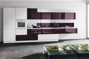 customized kitchen cabinets PR-T65