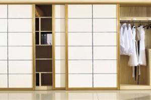 New Arrival Clothing Wardrobe PR-CLC183