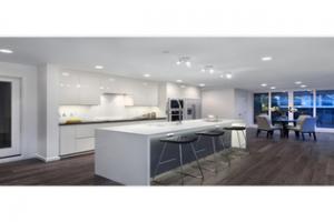 High Quality White Cabinet Lacquer Kitchen Cupboard High Gloss Kitchen Cabinet Pr-L154