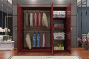 Modern Hot Wardrobe with Mirror Design PR-WD43