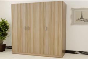Custom Wardrobe with Mirror PR-WD50