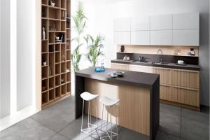 Free drawing design solid wood kitchen cabinet lacquer cabinet--PR-BK064