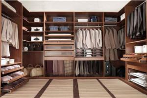 Modern Walk In Closet Cabinet PR-C53