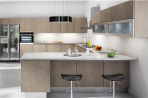 matt lacquer kitchen cabinets PR-T87