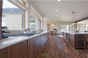 matt lacquer kitchen cabinets PR-T88