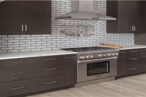 matt lacquer kitchen cabinets PR-T90