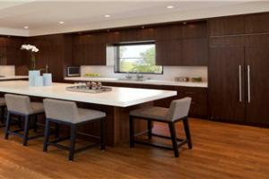 matt lacquer kitchen cabinets PR-T91