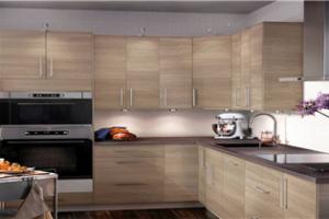 shaker kitchen cabinets  PR-T92