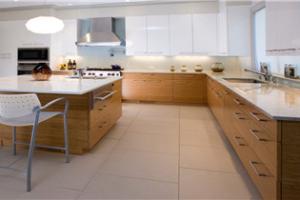 shaker kitchen cabinets  PR-T93