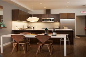 shaker kitchen cabinets  PR-T95