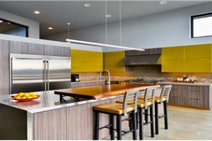 shaker kitchen cabinets  PR-T96