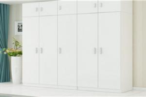Contemporary Hot Sale Lacquer Wardrobe PR-WD27